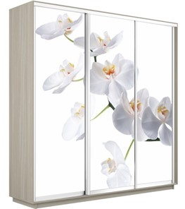 Шкаф 3-х дверный Е1 Экспресс 2400х600х2200, Орхидея белая/шимо светлый в Черкесске