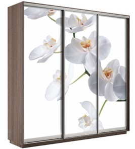 Шкаф 3-х створчатый Экспресс 2400х600х2200, Орхидея белая/шимо темный в Черкесске