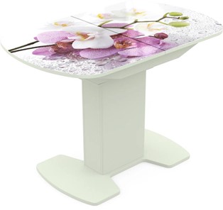 Кухонный раскладной стол Корсика исп. 2 Фотопечать (Цветы №44) 1200(1515)*800 в Черкесске