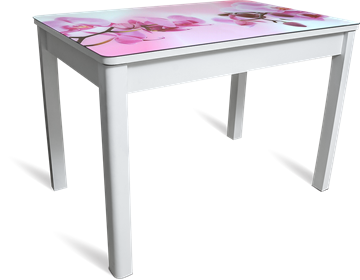Обеденный раздвижной стол Айсберг-02 СТФ, белое лдсп/орхидея/40 прямые массив белые в Черкесске