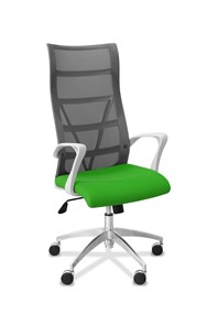 Офисное кресло для руководителя Топ X белый каркас, сетка/ткань TW / серая/салатовая в Черкесске