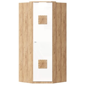 Шкаф угловой 45 с декоративной накладкой Фиджи, 659.248, белый в Черкесске