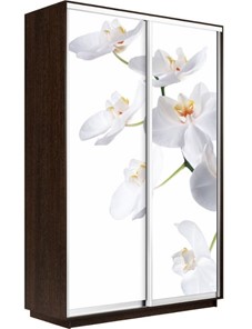 Шкаф 2-створчатый Экспресс 1400x600x2400, Орхидея белая/венге в Черкесске