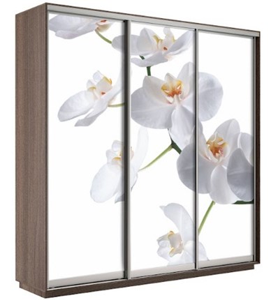 Шкаф 3-х створчатый Экспресс 1800х600х2200, Орхидея бела/шимо темный в Черкесске - изображение