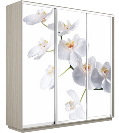 Шкаф Экспресс 1800х600х2200, Орхидея белая/шимо светлый в Черкесске - изображение