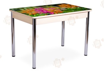 Кухонный стол раскладной Айсберг-02 СТФ, Дуб ЛДСП/полевые цветы/ноги хром прямые в Черкесске