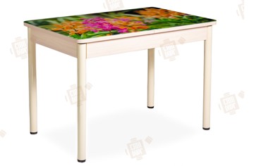 Кухонный стол раздвижной Айсберг-02 СТФ, Дуб ЛДСП/полевые цветы/ноги крашеные в Черкесске