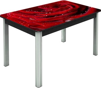 Кухонный раздвижной стол Гамбург исп. Мини, ноги метал. крашеные №23, Фотопечать (Цветы №39) в Черкесске