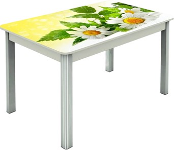 Кухонный раздвижной стол Гамбург исп.2 ноги метал. крашеные №23, Фотопечать (Цветы №3) в Черкесске