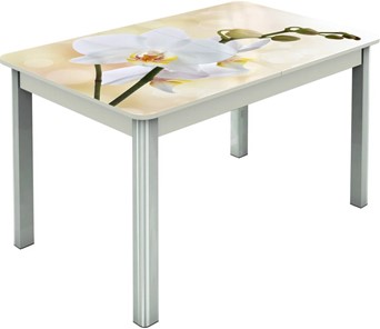 Кухонный стол раздвижной Гамбург исп.2 ноги метал. крашеные №23, Фотопечать (Цветы №5) в Черкесске