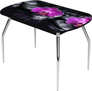 Раздвижной стол Ривьера исп.1 ноги метал. крашеные №24 Фотопечать (Цветы №14) в Черкесске