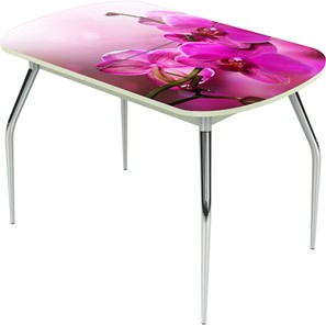 Кухонный стол раскладной Ривьера исп.1 ноги метал. крашеные №24 Фотопечать (Цветы №16) в Черкесске