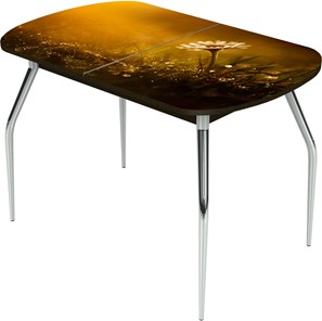 Раздвижной стол Ривьера исп.2 ноги метал. крашеные №24 Фотопечать (Цветы №43) в Черкесске