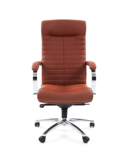 Компьютерное кресло CHAIRMAN 480 Экокожа Terra 111 (коричневая) в Черкесске - изображение 1