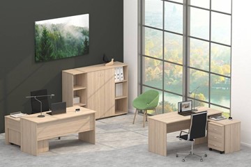 Набор мебели в офис Twin в Черкесске - предосмотр 4