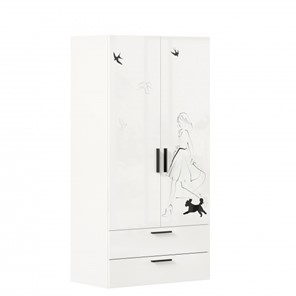Двухстворчатый шкаф комбинированный Джоли ЛД 535.040, Серый шелк в Черкесске