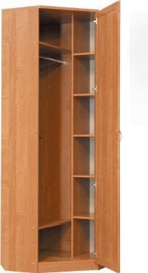 Шкаф распашной 402 угловой со штангой, цвет Дуб Сонома в Черкесске - изображение 1