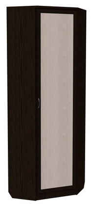 Шкаф 402 угловой со штангой, цвет Венге в Черкесске - изображение