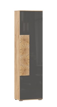 Шкаф одностворчатый Фиджи с декоративными накладками 659.300, Дуб Золотой/Антрацит в Черкесске - изображение