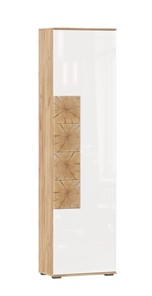 Шкаф одностворчатый Фиджи с декоративными накладками 659.300, Дуб Золотой/Белый в Черкесске