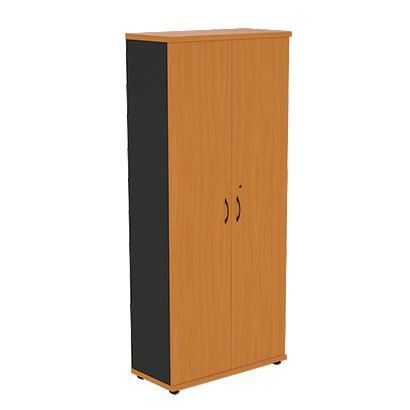 Шкаф двухдверный Моно-Люкс R5S05 в Черкесске - изображение